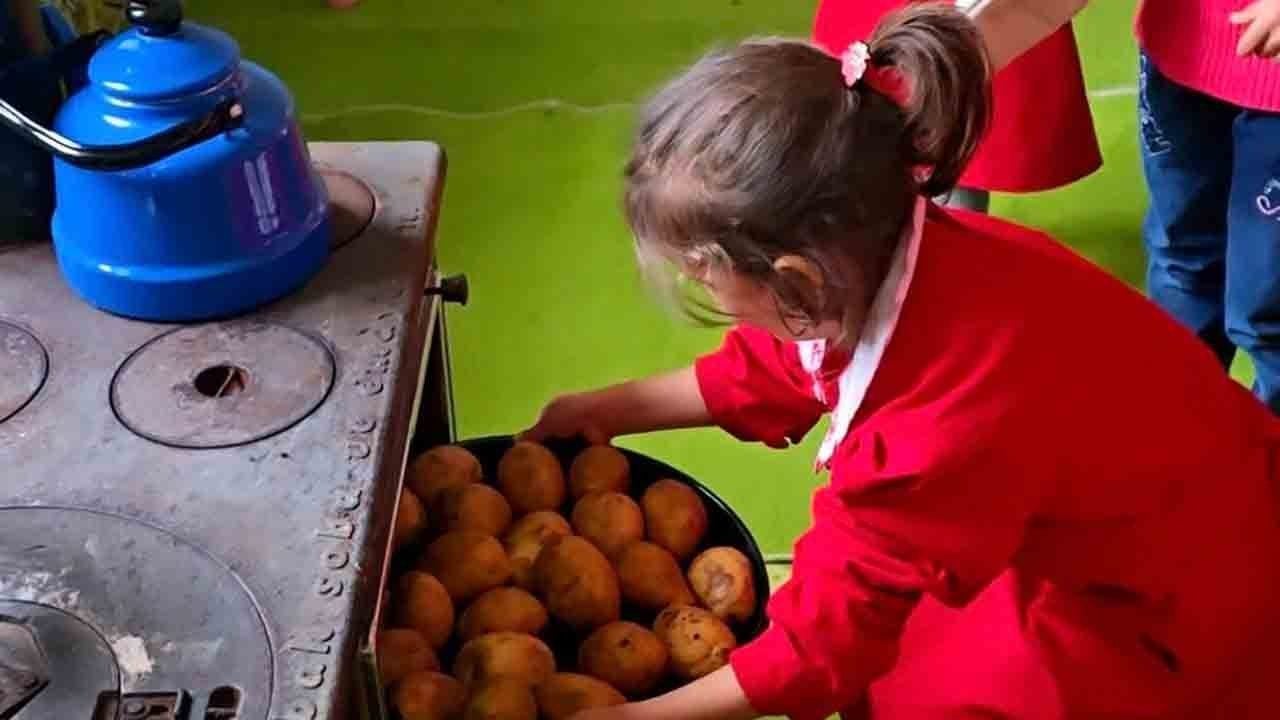 Foto - Sınıfları doğa, dersleri hayat: Finlandiya’ya taş çıkartan eğitim