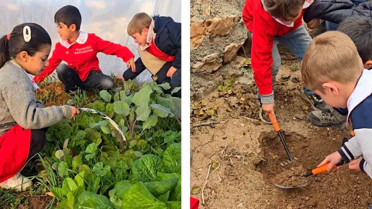 Foto - Sınıfları doğa, dersleri hayat: Finlandiya’ya taş çıkartan eğitim