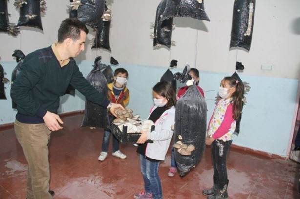 Foto - Sınıfta mantar üretiyorlar!