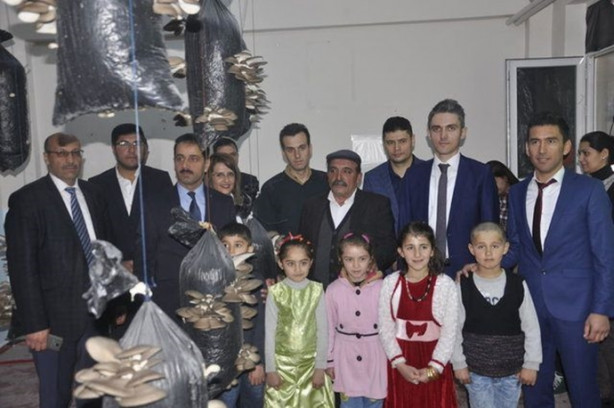  Sınıfta mantar üretiyorlar!