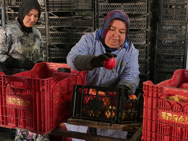 Foto - Sınır belirlemek için dikildi ekonomiye katkı sağladı