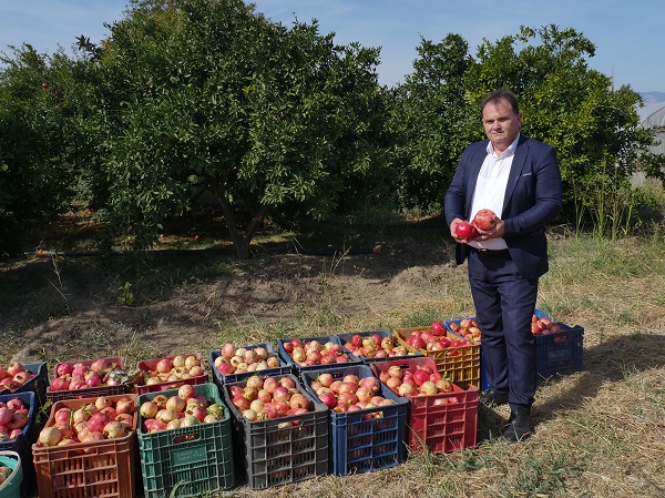 Foto - Sınır belirlemek için dikildi ekonomiye katkı sağladı