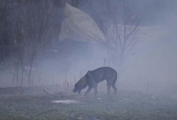 Foto - Sınır göçmenlerinin bekleyişi devam ediyor