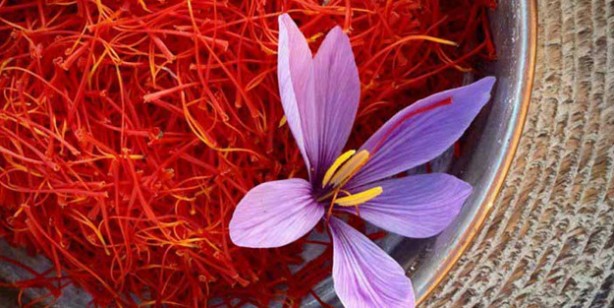 Sinir sistemini bozan besinler olduğu ortaya çıktı! Böyle tüketirseniz besin değerini yok ediyor! Bakın ne 