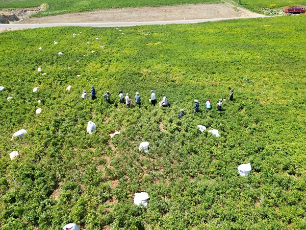 Foto - Sınırın sıfır noktası kızardı! 