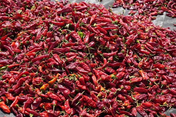 Foto - Sınırın sıfır noktası kızardı! 