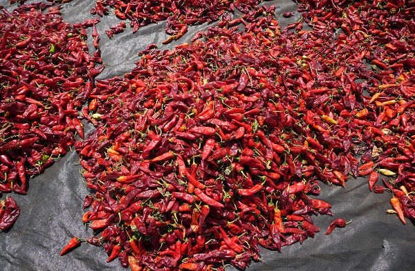 Foto - Sınırın sıfır noktası kızardı! 