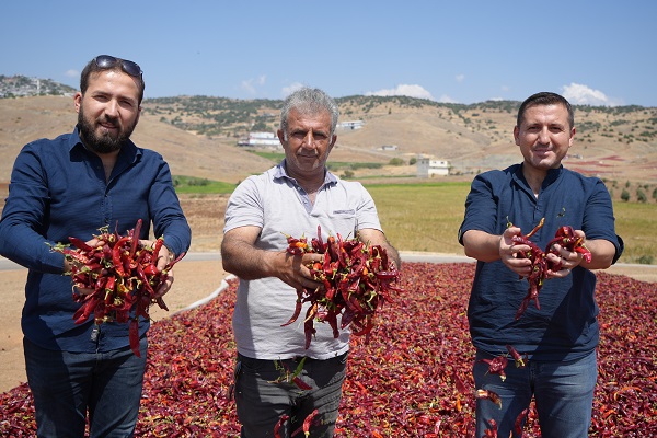 Foto - Sınırın sıfır noktası kızardı! 