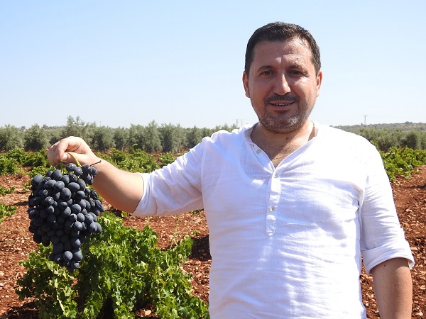 Foto - Sınırın sıfır noktasında hasat zamanı