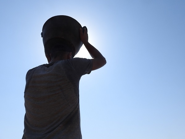 Foto - Sınırın sıfır noktasında hasat zamanı