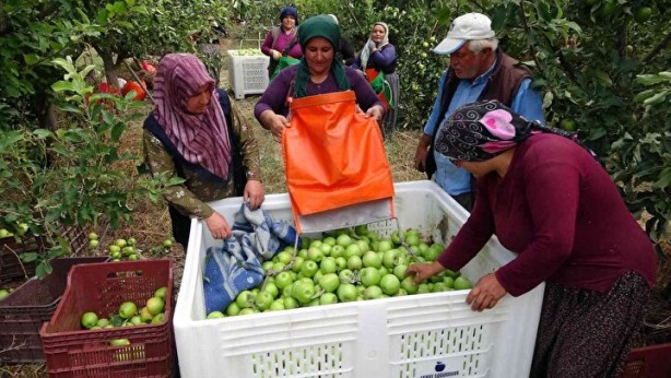 Foto - Sınırları kaldırıp öyle bir şey yaptılar ki… Köyde işsizliği bitiren formül