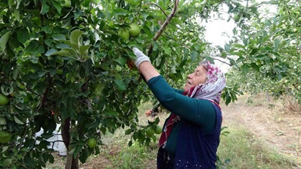 Foto - Sınırları kaldırıp öyle bir şey yaptılar ki… Köyde işsizliği bitiren formül