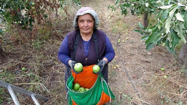 Foto - Sınırları kaldırıp öyle bir şey yaptılar ki… Köyde işsizliği bitiren formül