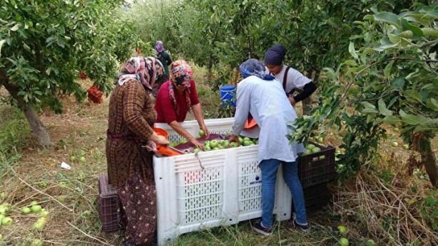 Foto - Sınırları kaldırıp öyle bir şey yaptılar ki… Köyde işsizliği bitiren formül
