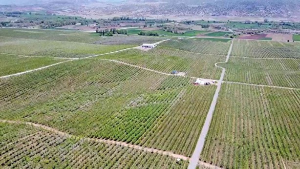 Foto - Sınırları kaldırıp öyle bir şey yaptılar ki… Köyde işsizliği bitiren formül