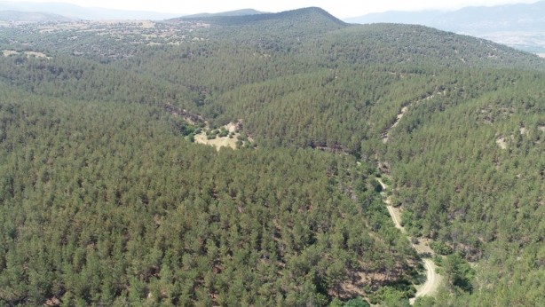 Foto - Sinop'taki olayı görenler şaşırıyor! 40 yılda bu hale geldi