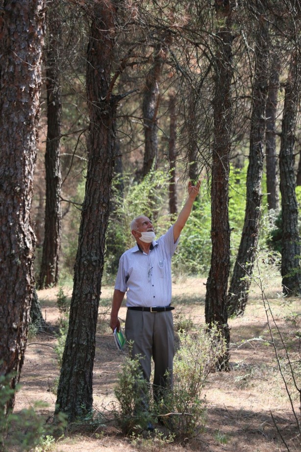 Foto - Sinop'taki olayı görenler şaşırıyor! 40 yılda bu hale geldi