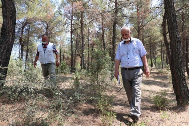 Foto - Sinop'taki olayı görenler şaşırıyor! 40 yılda bu hale geldi