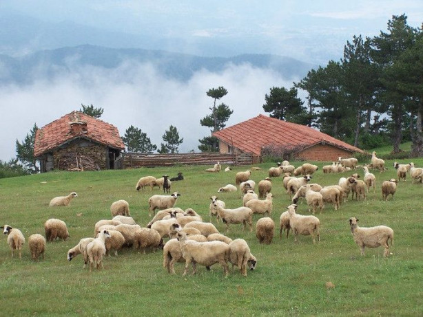 Foto - Karadeniz'de şirin bir şehir: Durağan