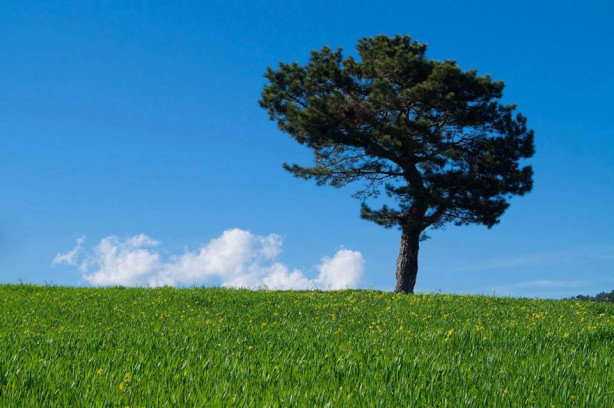 Foto - Karadeniz'de şirin bir şehir: Durağan