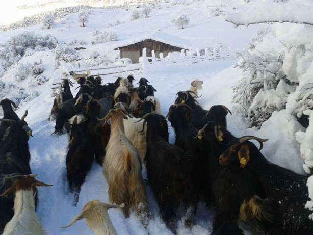 Foto - Karadeniz'de şirin bir şehir: Durağan