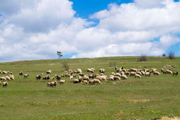 Foto - Karadeniz'de şirin bir şehir: Durağan
