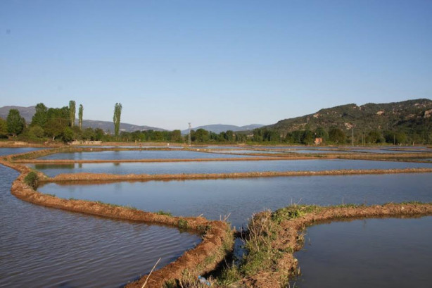 Foto - Karadeniz'de şirin bir şehir: Durağan