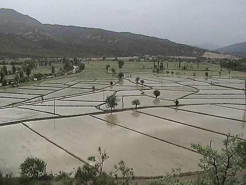 Foto - Karadeniz'de şirin bir şehir: Durağan