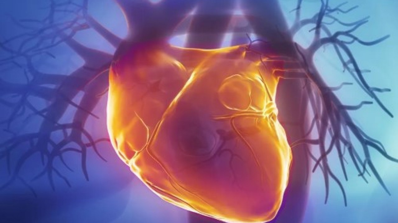 Sinsice ilerliyor: Kalp sağlığını tehdit eden 6 faktör!