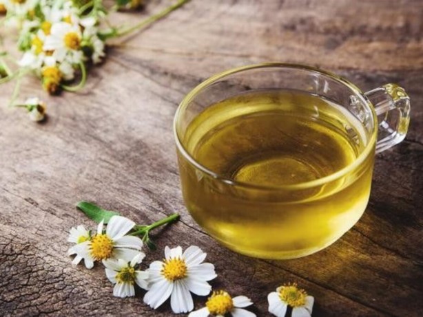 Foto - Sinüsleri temizleyen kür