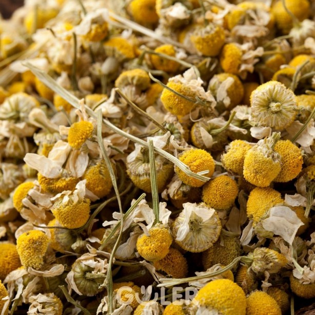 Foto - Sinüsleri temizleyen kür