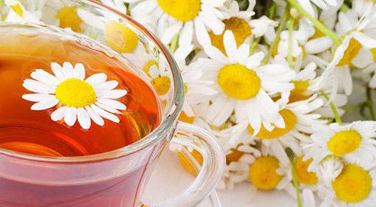 Foto - Sinüsleri temizleyen kür