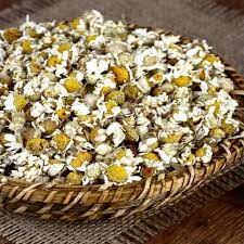 Foto - Sinüsleri temizleyen kür