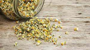 Foto - Sinüsleri temizleyen kür