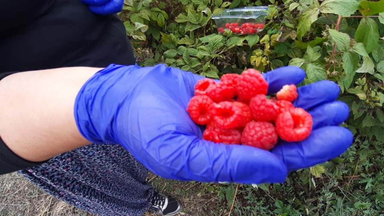 Foto - Siparişlere yetişemiyor! 7 yılda araziyi çiftliğe dönüştürdü