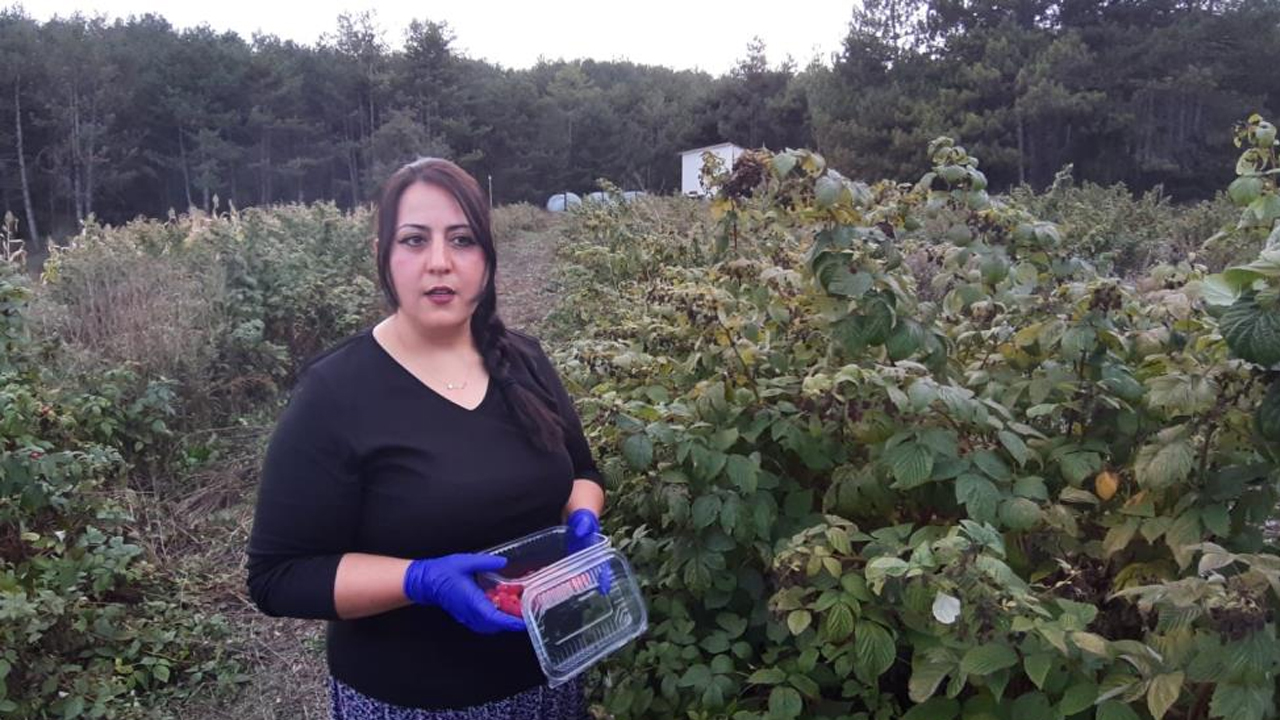 Foto - Siparişlere yetişemiyor! 7 yılda araziyi çiftliğe dönüştürdü