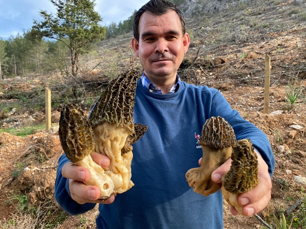 Foto - Siparişlere yetişemiyor! Bedavaya toplayıp 1500 TL'ye satıyorlar