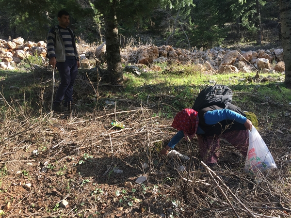Foto - Siparişlere yetişemiyor! Bedavaya toplayıp 1500 TL'ye satıyorlar
