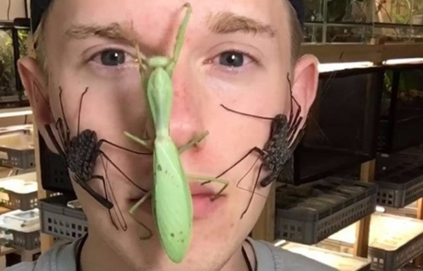 Foto - Sıra dışı adam! Canlı böcekleri yüzünde sergiliyor! 