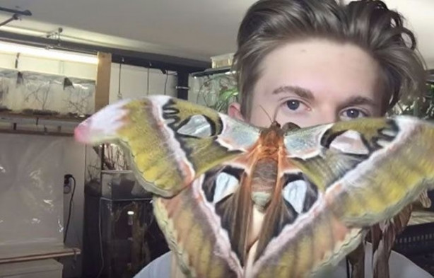 Foto - Sıra dışı adam! Canlı böcekleri yüzünde sergiliyor! 