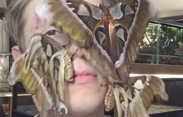 Foto - Sıra dışı adam! Canlı böcekleri yüzünde sergiliyor! 