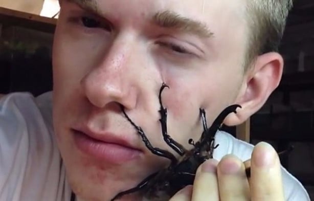 Foto - Sıra dışı adam! Canlı böcekleri yüzünde sergiliyor! 