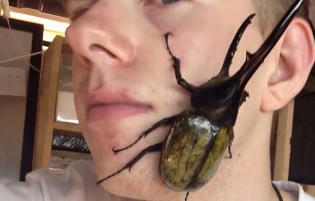 Foto - Sıra dışı adam! Canlı böcekleri yüzünde sergiliyor! 