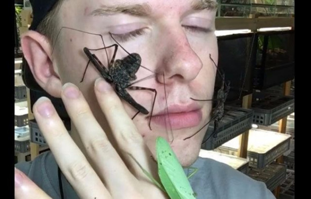 Foto - Sıra dışı adam! Canlı böcekleri yüzünde sergiliyor! 