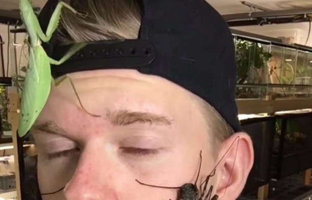 Foto - Sıra dışı adam! Canlı böcekleri yüzünde sergiliyor! 