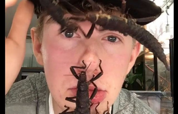 Foto - Sıra dışı adam! Canlı böcekleri yüzünde sergiliyor! 