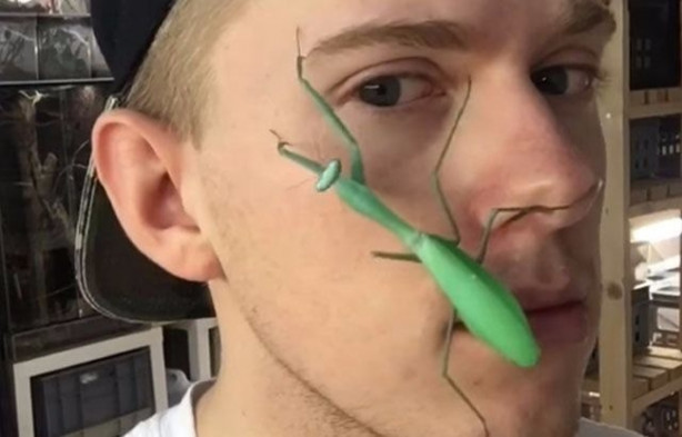 Foto - Sıra dışı adam! Canlı böcekleri yüzünde sergiliyor! 