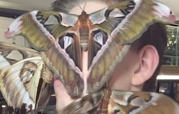 Foto - Sıra dışı adam! Canlı böcekleri yüzünde sergiliyor! 