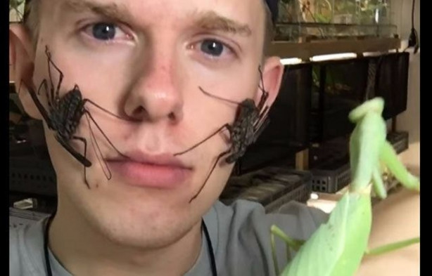 Foto - Sıra dışı adam! Canlı böcekleri yüzünde sergiliyor! 