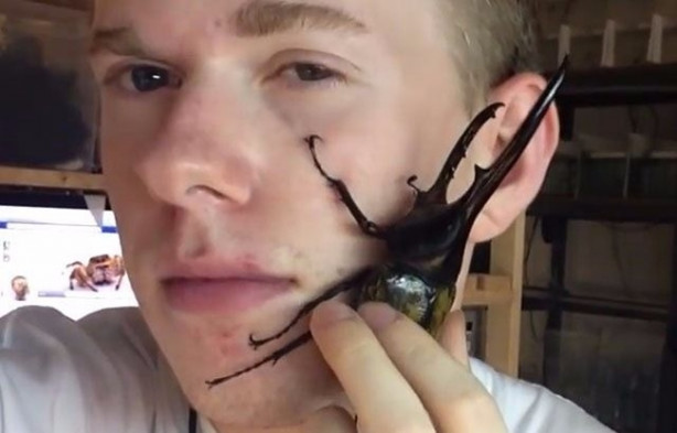 Foto - Sıra dışı adam! Canlı böcekleri yüzünde sergiliyor! 